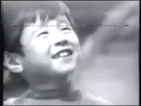 CM年鑑　1969年 ZENITHのクロノマスター オリジナル 1969「03.3200.3600/21.C903