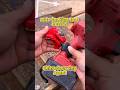 Source Auto-Locking Power Tool Holsters from China | Factory-Direct Pricing for Hardware Retailers