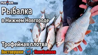 картинка: Зимняя ловля крупной плотвы. Зимняя рыбалка на комбайны. Рыбалка на поставушки зимой. Река Волга