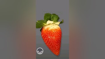 #relaxing #macro #micro #zoom #interview #inter#microscope