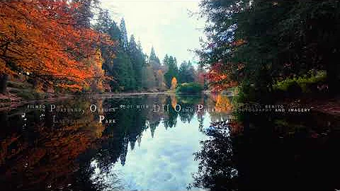 Laurelhurst Timelapse 20251115 4K