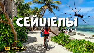 🔥 Сейшелы, La Digue Island 🇸🇨 Отель Patatran Village и капитанская комната | Огромные черепахи 🐢