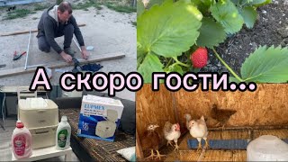 1227❤️Кошкин дом/ обработка сада от болезней/ к путешествию с LUPMEX готовы/