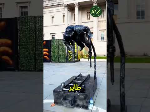 هل تصدق ما تراه قن الشارع وكيف يبدع الخداع البصري دهشة لا ت نسى 