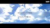 Snowflower Hayley Westenra 雪の華 ヘイリー Youtube