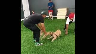 We Wrking Getting A Lil Training シ