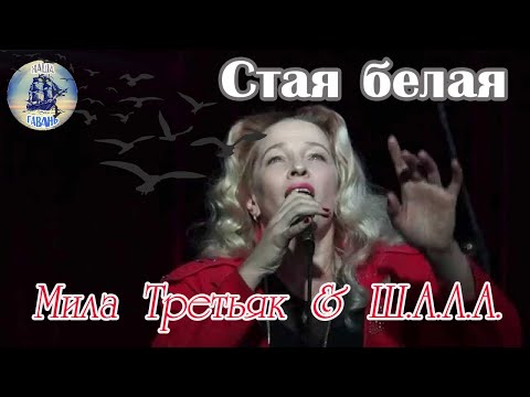 Наша Гавань! СТАЯ