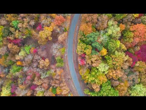 3177 Springplace Rd, Lewisburg, TN home video tour