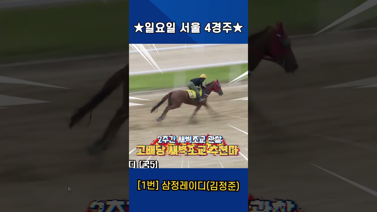 6월21일 일요일 서울 4경주!! 2주간 훈련보인 강백호의 새벽조교 쏘스마!!