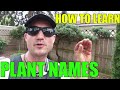 Names of Plants and Basic Gardening Knowledge Horticulture - Landscaping Tips