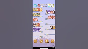 Color Cat Sort Cute Cat Game Level 137 #shorts #shortsfeed #cat #gaming