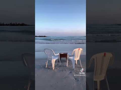 يا ليالى واحشنى الغالى احمد خالد
