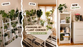 ✨ Cozy Home Vlog | Rearranging My Plant Corner + New IKEA Rack 🌿