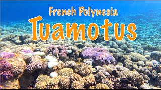 French Polynesia | Tuamotus Part 2 | Episode 48 News