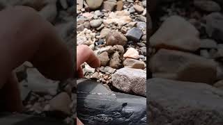 Is That A Fossil Is That A Fossil