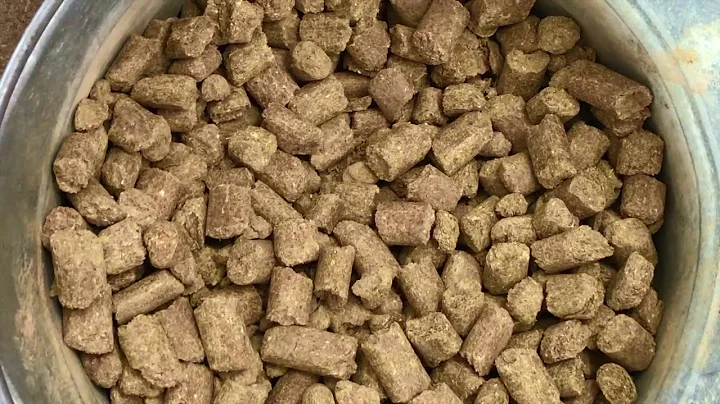 The Restart Program 2018