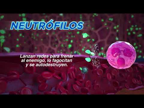 Activación de la