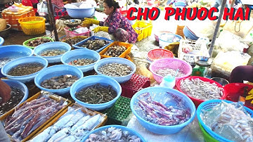 Chợ Phước Hải Vũng Tàu hải sản ngon rẻ vì quá nhiều