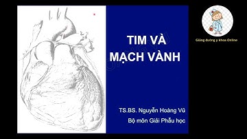 TIM VÀ MẠCH VÀNH | TS. BS. NGUYỄN HOÀNG VŨ | Ôn thi SĐH 2023