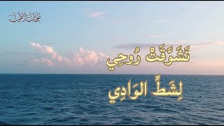 -تشوقت روحي-اهل المحبة قالوا لي- تجلى ما كان - هادي ليلة مباركة - يامن ترد تدري فني