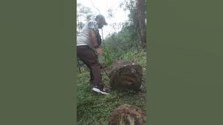 MITOS BATU PANJANG JAHIM