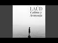 Laúd Calma Y Armonía