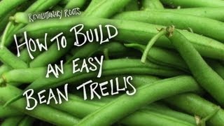 How To Build An Easy Bean Trellis - Farming/gardening Lesson - Revolutionary Roots