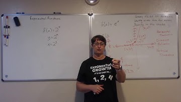 Exponential Functions Live Stream