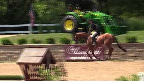 Video of S & l LION kING ridden by DOROTHY DOUGLAS...