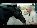 Legend! 🖤💚 | Altior is loving life at home with Mick Fitzgerald | National Racehorse Week