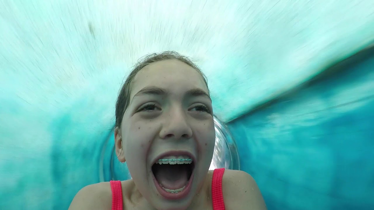 Welcome to Camp Timber Tops: Summer 2019 Camp Yearbook