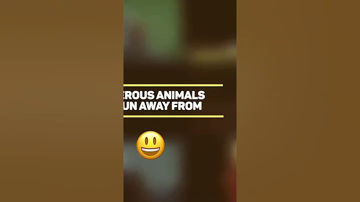 10 of the most dangerous animals you should run away from￼