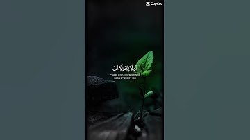 قران كريم راحة نفسية #قران_كريم #راحة_نفسية #foryou #ايات_قرانيه_قصيره #viral #quran