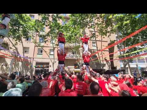 Castellers de Barcelona: 2 pilars de 4 - Festa Major Navas 2024