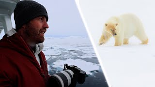 Wildlife Photography: Polar Bears in Svalbard