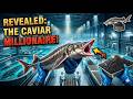 Inside a Massive Caviar Production Plant: How Millions of Tins Are Made