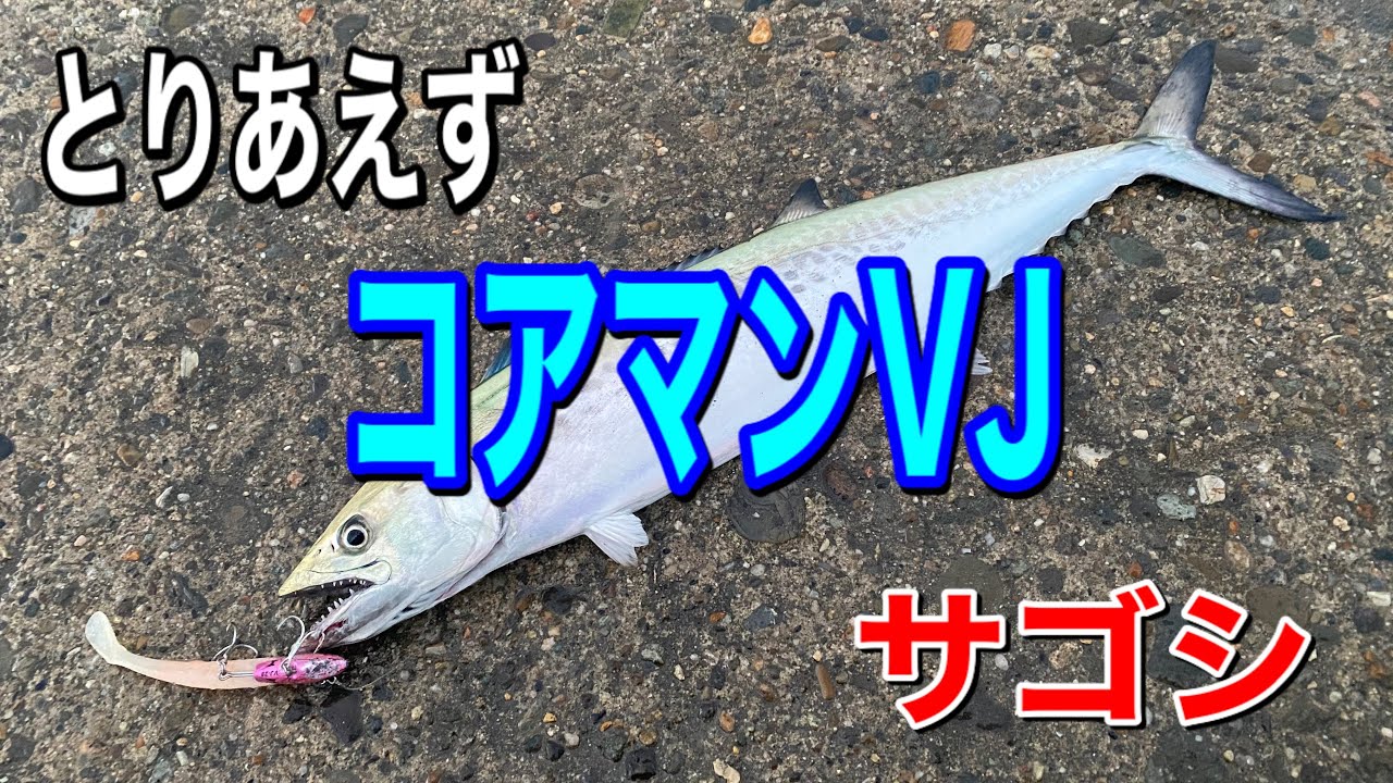 Vj 16転売屋 Vj 16口コミ 魚釣りを勉強中