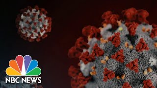 New Warning That Hackers Targeting Supply Chain Behind Covid Vaccines | NBC Nightly News