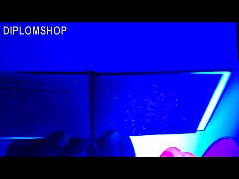Диплом кандидата наук 2012 2018