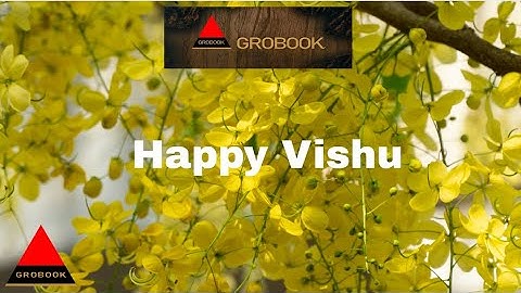 Vishu Festival and Vishu Kani in kerala – INDIA