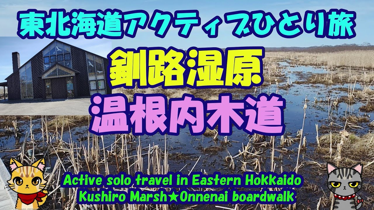 東北海道アクティブひとり旅★釧路湿原★温根内木道★タンチョウ・Kushiro Marshland ★ Onnenai boardwalk・ Red-crowned Crane・Hokkaido