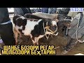 шанбе бозори регар мол бозори регар 2 15