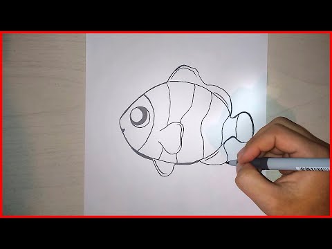 COME DISEGNARE UN PESCE PASSO PER PASSO FACILE