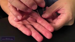 Xiaojian (T 11.02): Master Tung Point Location and Needling Technique in ENGLISH by Chuan-Min Wang