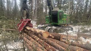 Waratah 622B northern Ontario logging