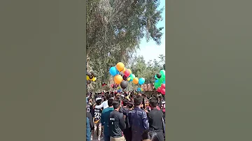 Sports Gala Bzu Multan Bzumultan 2023 Malghani 