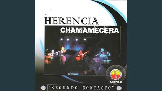 Video thumbnail of "Herencia Chamamecera - Para Volver a Soñar"