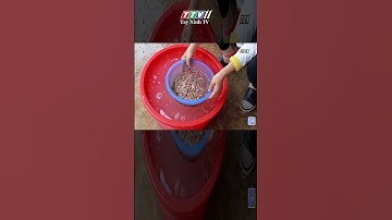 Người dân thu hoạch rươi, kiếm trăm triệu mỗi ngày #Shorts