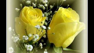 Video thumbnail of "Heidi Hauge -  Yellow Roses"