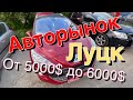 #АвторынокЛуцк Бюджетные Авто от 5000$ до 6000$